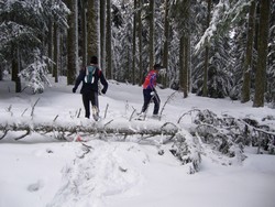 Raidlight Trail Trophy : Victoire à domicile.