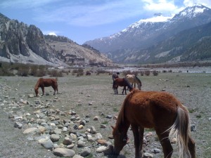 Annapurna-Mandala-Trail 1329