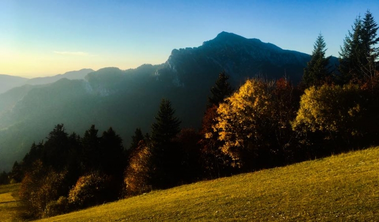 Chartreuse en vue, plutôt que Cantal…