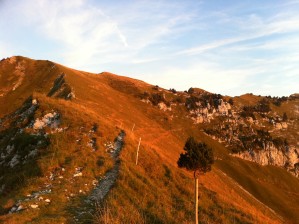 Un soir en Chartreuse