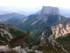 Retour au Trail, cap sur l’ULTRA DES TEMPLIERS.