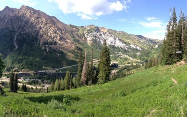 SpeedGoat 50K, exploration du marché US