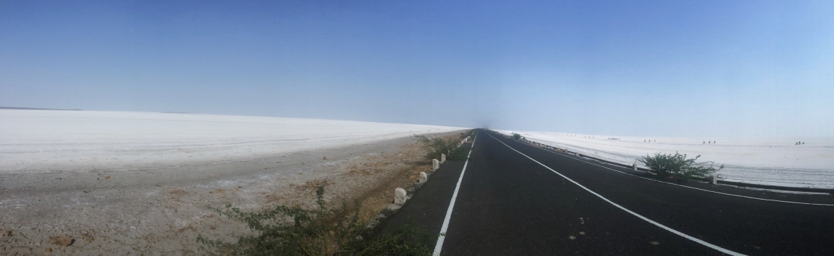 Winning The Rann of Kutch 42km, 2015 February 7th, India